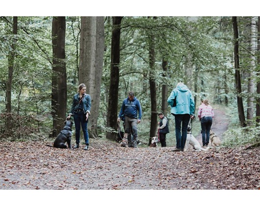 Kundenbild groß 6 2 Freunde - Die einzig(artige) Hundeschule