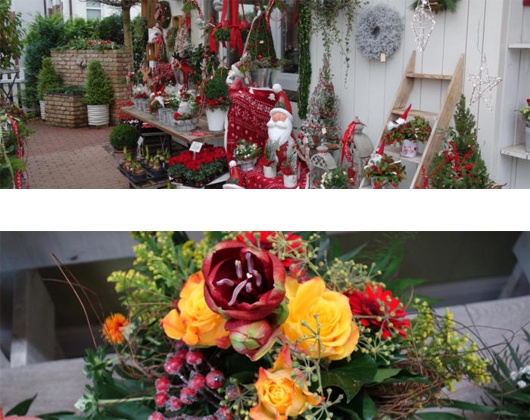 Kundenbild groß 1 Alles Blume Inh. Inga Hahn-Kaufmann Blumenfachgeschäft