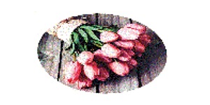 Kundenlogo von Blumen Meyer Kundenlogo von Blumen Meyer