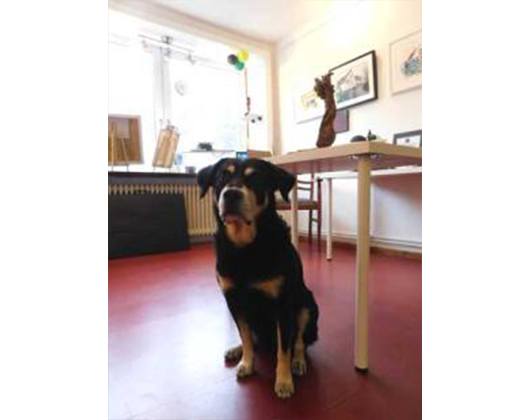 Kundenbild klein 2 Kunströsterei