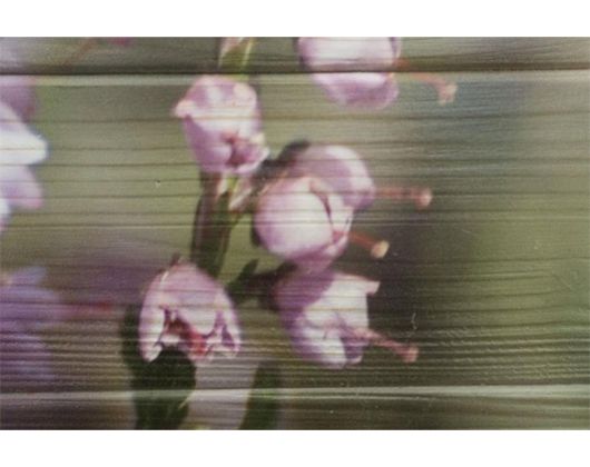 Kundenbild klein 2 elbfischer design