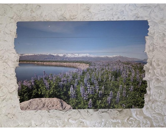 Kundenbild klein 4 elbfischer design