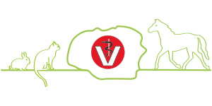Kundenlogo von Vollandt Wibke Dr. Tierärztin