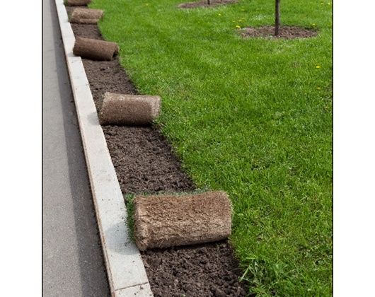 Kundenbild klein 5 Garten- und Landschaftsbau Biermann