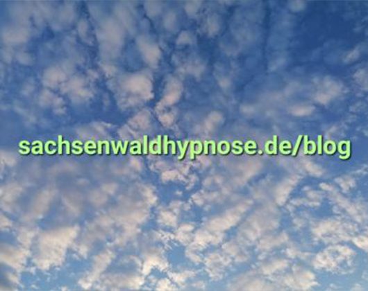 Kundenbild groß 3 Hypnosepraxis am Sachsenwald