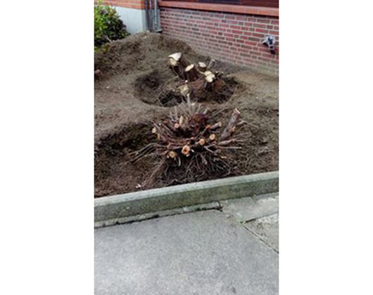 Kundenbild groß 2 Landtechnischer Service