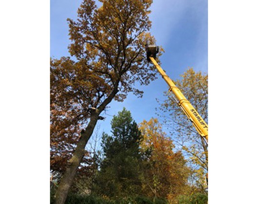 Kundenbild groß 6 Landtechnischer Service