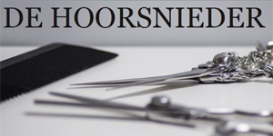 Kundenlogo von De Hoorsnieder Friseursalon Inge Holst Kundenlogo von De Hoorsnieder Friseursalon Inge Holst