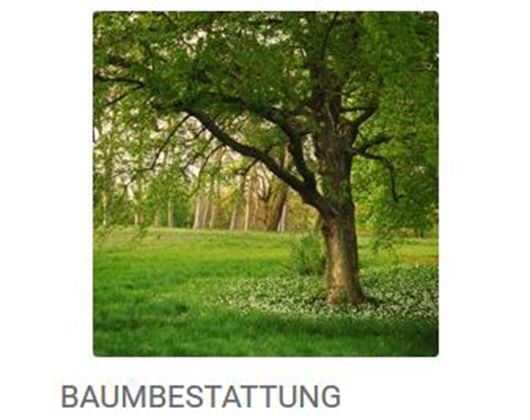 Kundenbild klein 5 Bestattungen Münzel GmbH
