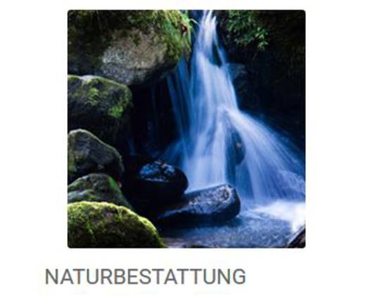 Kundenbild klein 7 Bestattungen Münzel GmbH
