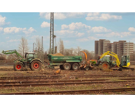 Kundenbild groß 5 Claus Quast Garten- und Landschaftsbau GmbH