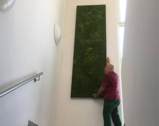 Kundenbild groß 7 Roebers grünidee Raumbegrünung GmbH