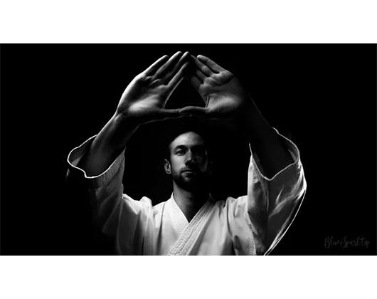Kundenbild klein 5 Taekwondo Harburg Schule