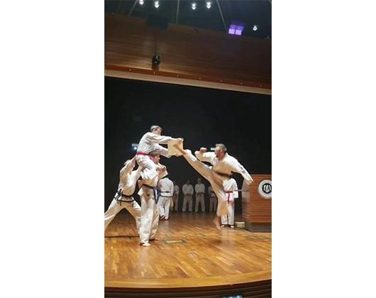 Kundenbild groß 6 Taekwondo Harburg Schule