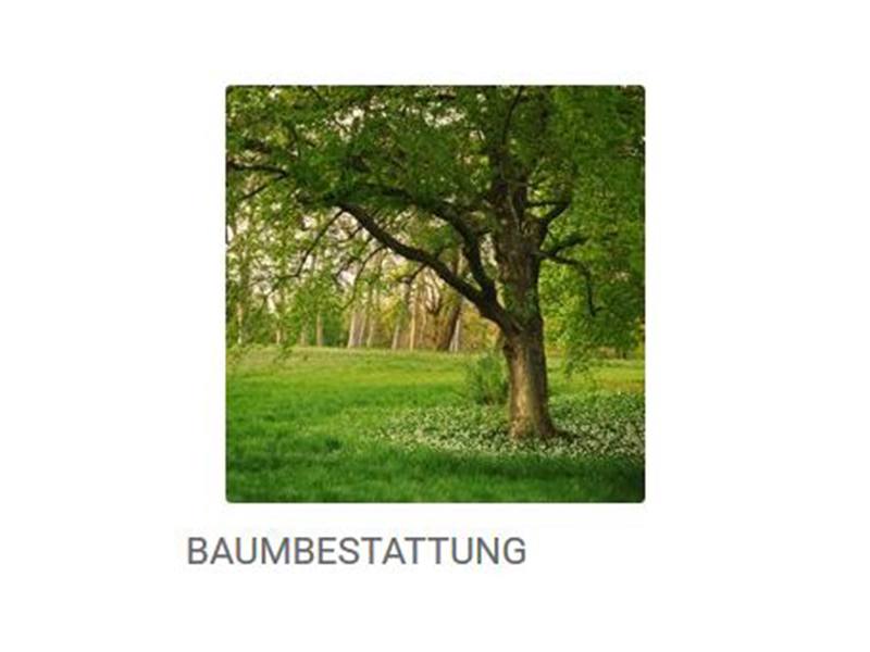 Kundenbild klein 5 Münzel Bestattungen