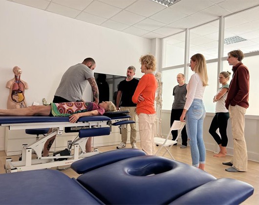 Kundenbild groß 3 Akademie für Osteopathie und Integrative Medizin