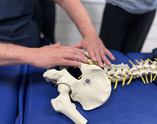 Kundenbild groß 5 Akademie für Osteopathie und Integrative Medizin