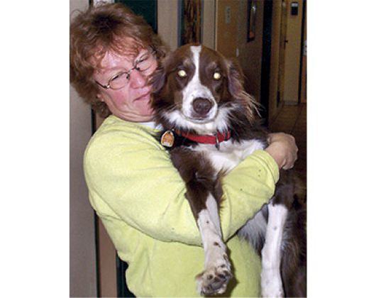 Kundenbild groß 1 Gruber Anita Dr.med.vet. prakt. Tierärztin