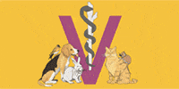 Kundenlogo Gruber Anita Dr.med.vet. prakt. Tierärztin