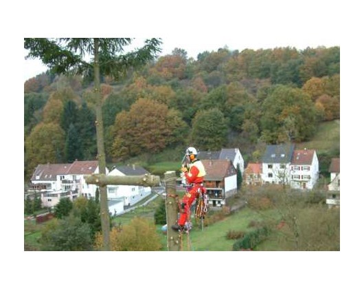 Kundenbild groß 1 HDL Garten- und Landschaftsbau Inh. Karsten Mohr