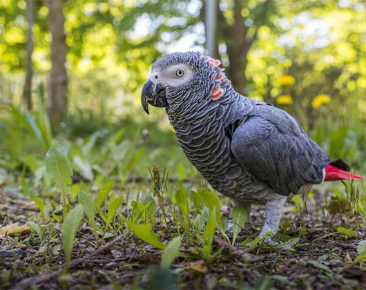 Kundenbild klein 6 Tierschutzzentrum Weidefeld