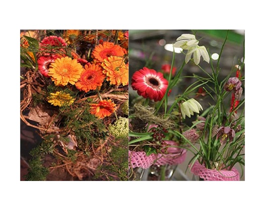 Kundenbild groß 3 Blumenstudio Kolberger Meisteratelier