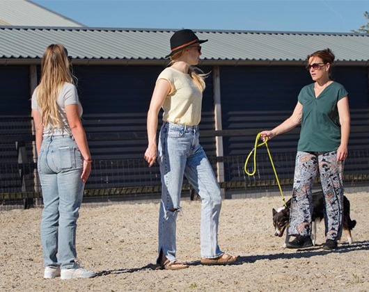 Kundenbild groß 1 I Speak DOG mit Anna Christina Frahm
