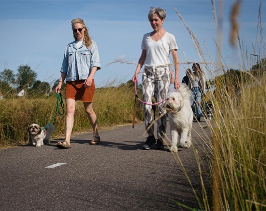 Kundenbild klein 2 I Speak DOG mit Anna Christina Frahm