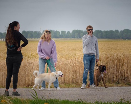 Kundenbild klein 3 I Speak DOG mit Anna Christina Frahm
