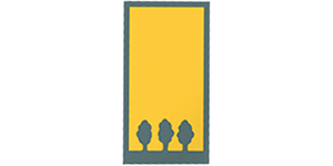 Kundenlogo von Forstbaumschule Steen GmbH