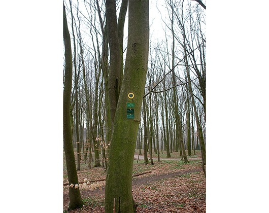 Kundenbild klein 6 Bestattungen Klaus Griem Bestattungen