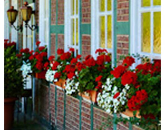 Kundenbild groß 2 Landgasthof Wilhelmsruh