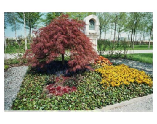 Kundenbild groß 1 Friedhofsgärtnerei-Blumenhaus Inh. Christine Holst