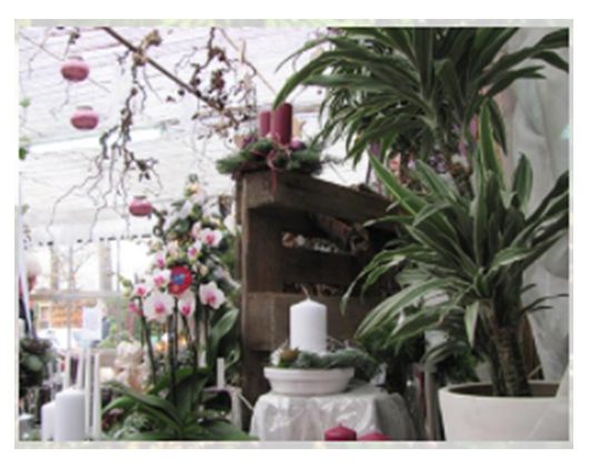 Kundenbild klein 3 Friedhofsgärtnerei-Blumenhaus Inh. Christine Holst