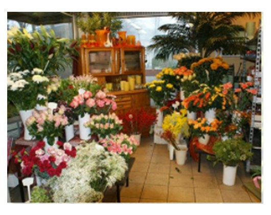 Kundenbild klein 4 Friedhofsgärtnerei-Blumenhaus Inh. Christine Holst