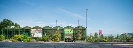 Kundenbild groß 5 Buchwald grün erleben Pflanzencenter Gartenmarkt