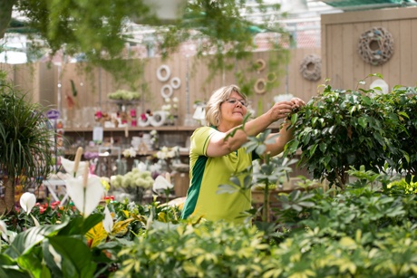 Kundenbild groß 6 Buchwald grün erleben Pflanzencenter Gartenmarkt