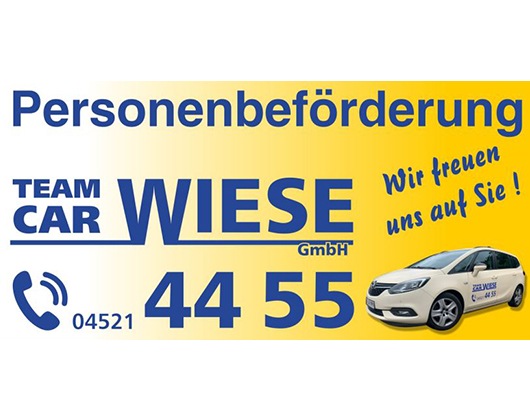 Kundenbild groß 1 Team Car Wiese GmbH