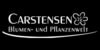 Kundenlogo von Blumen-Carstensen