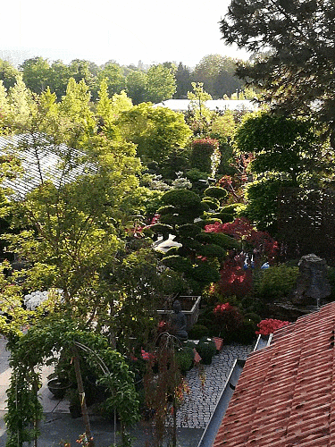 Kundenbild groß 8 Bad Homburger Baumschulen C. & L. Peselmann