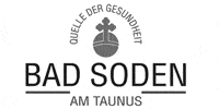 Kundenlogo von Stadtverwaltung Bad Soden mit allen Abteilungen Kundenlogo von Stadtverwaltung Bad Soden mit allen Abteilungen