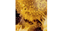 Kundenlogo von Frau Dr. Güller Internistin Hämatologie / Onkologie Kundenlogo von Frau Dr. Güller Internistin Hämatologie / Onkologie