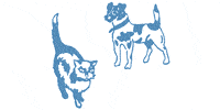 Kundenlogo von Riechert Ruth Dr.med.vet. Tierärztin Tierarztpraxis für Kleintiere