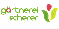 Kundenlogo von Blumen Scherer, Inh. Anja Jungerberg - Gärtnerei und moderne Floristik