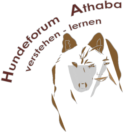 Kundenlogo von Hundeforum Athaba Hundepension,  Hundeerziehung