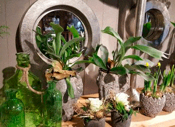 Kundenbild klein 5 Stühn Kerstin ks floristik