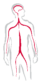 Kundenlogo von Hachenberg Klaus Dr.med., Köhler Anne-Elisabeth,  Böhme Volker Dr.med.
