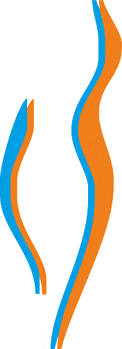 Kundenlogo von Gehring Andrea Dr.med.
