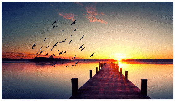 Kundenbild groß 1 Bestattungen Schardt