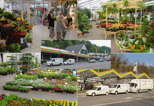 Kundenbild groß 2 Blumen Bruno Mankopf Fleurop-Service